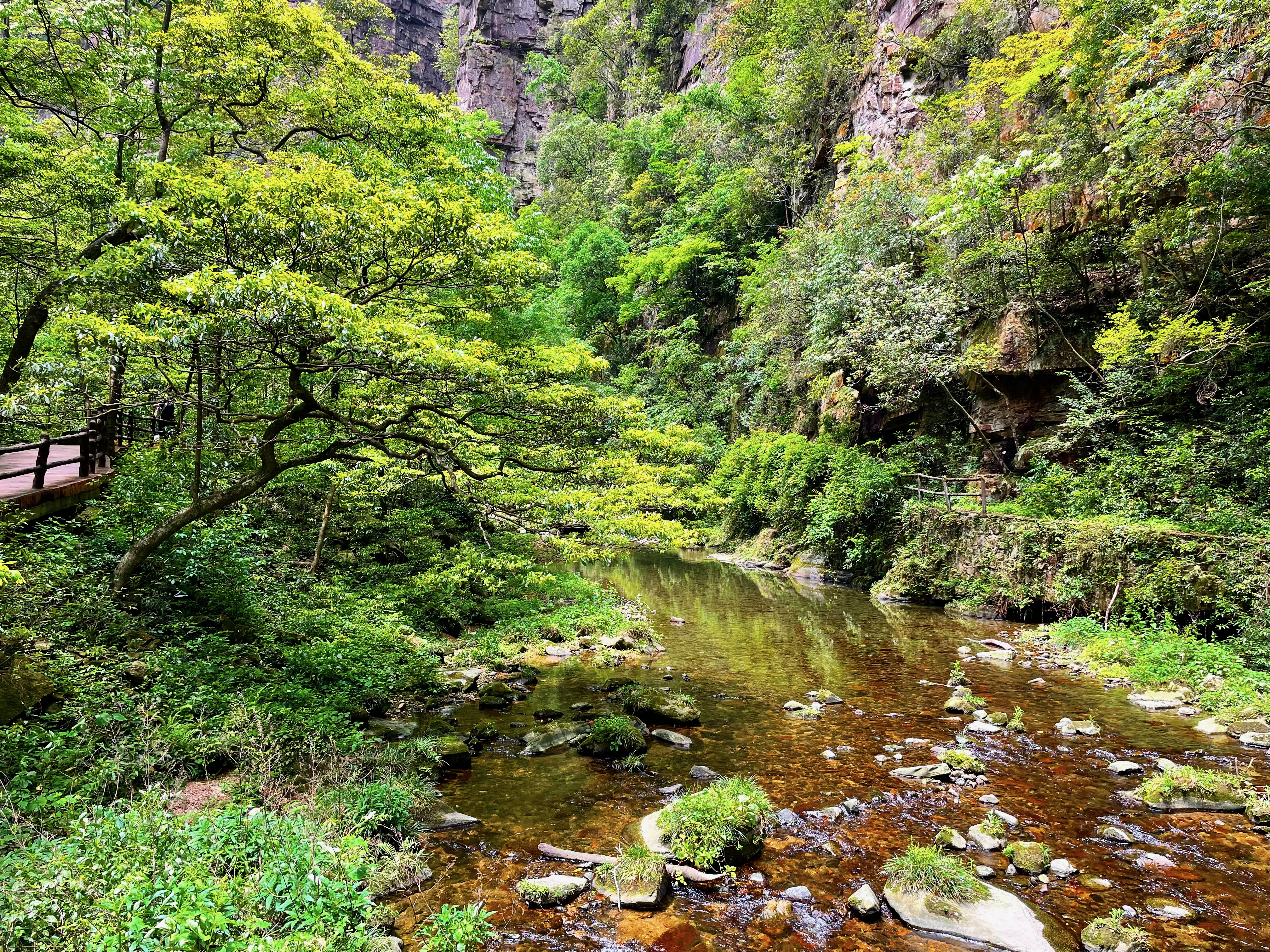 Zhangjiajie 6